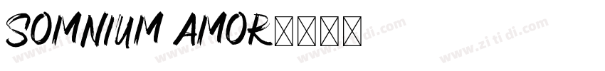 Somnium Amor字体转换